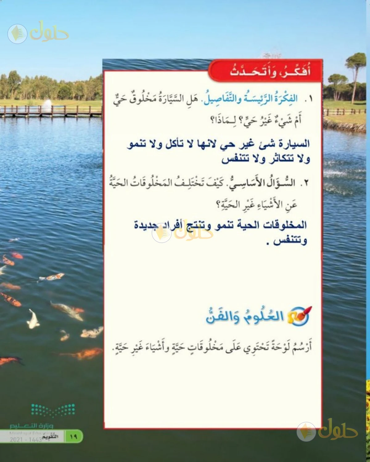 حل العلوم للصف الأول الابتدائي صفحة 19