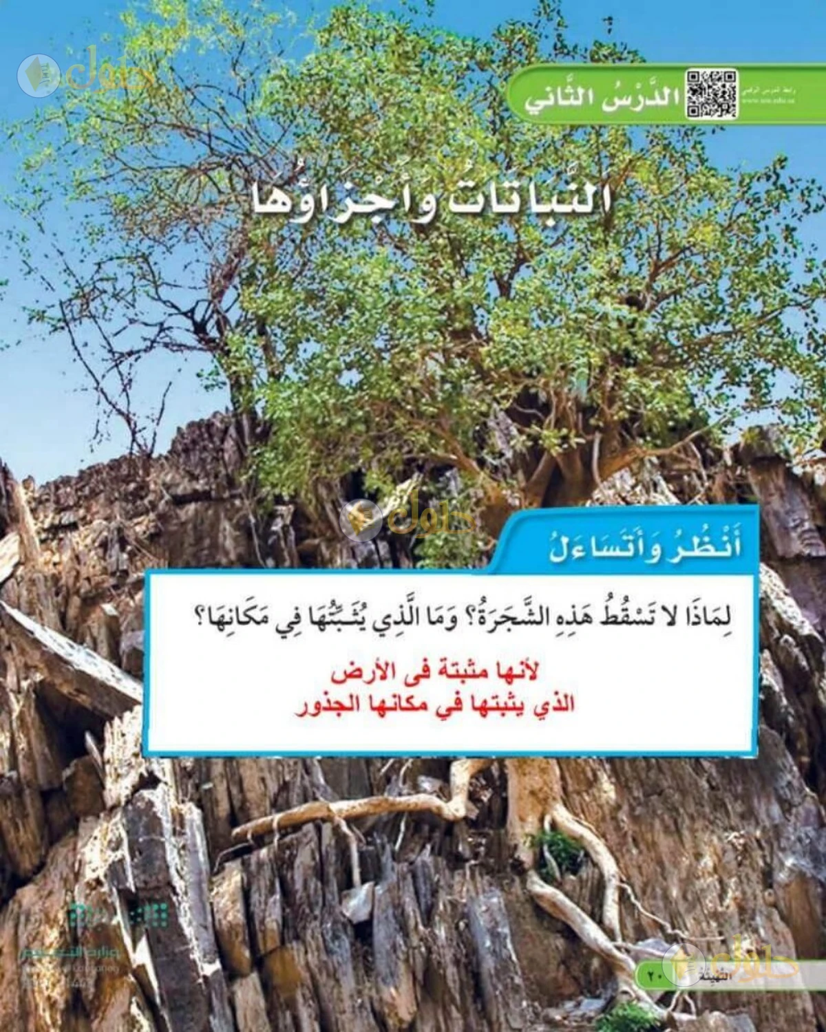 حل العلوم للصف الأول الابتدائي صفحة 20