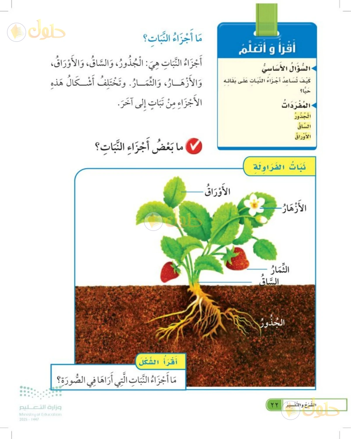 حل العلوم للصف الأول الابتدائي صفحة 22
