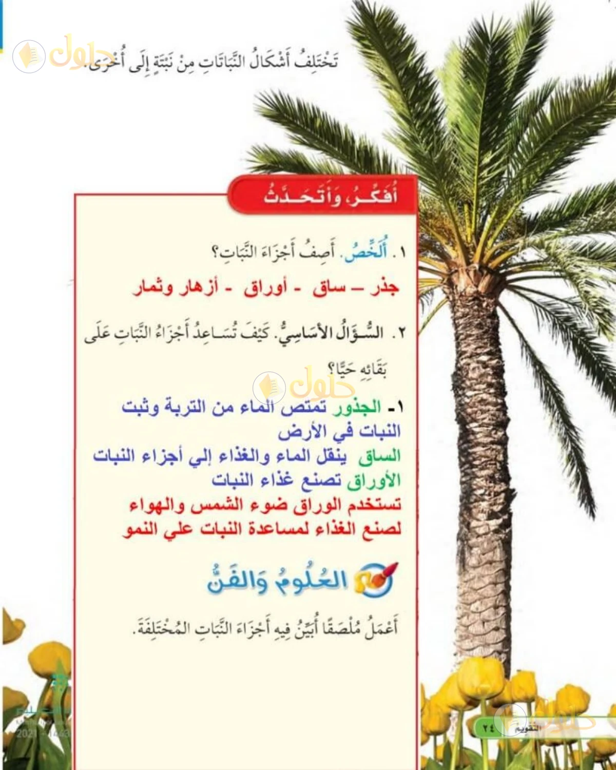 حل العلوم للصف الأول الابتدائي صفحة 24