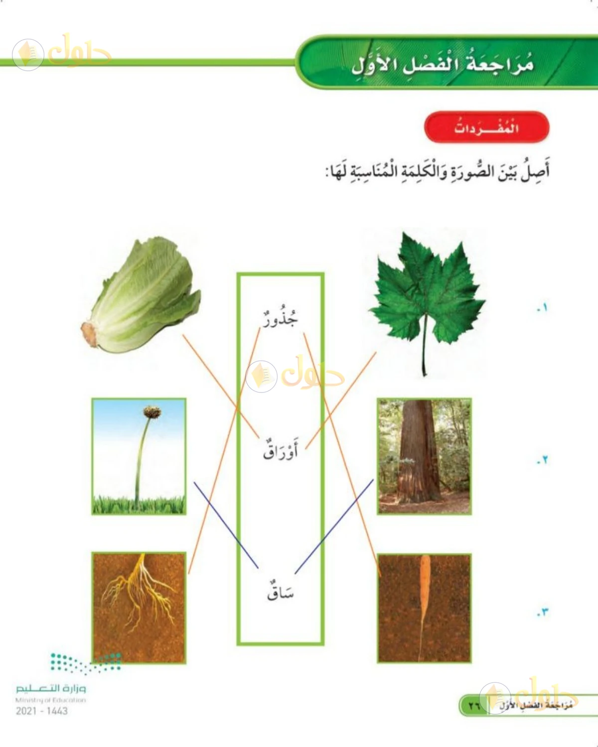 حل العلوم للصف الأول الابتدائي صفحة 26