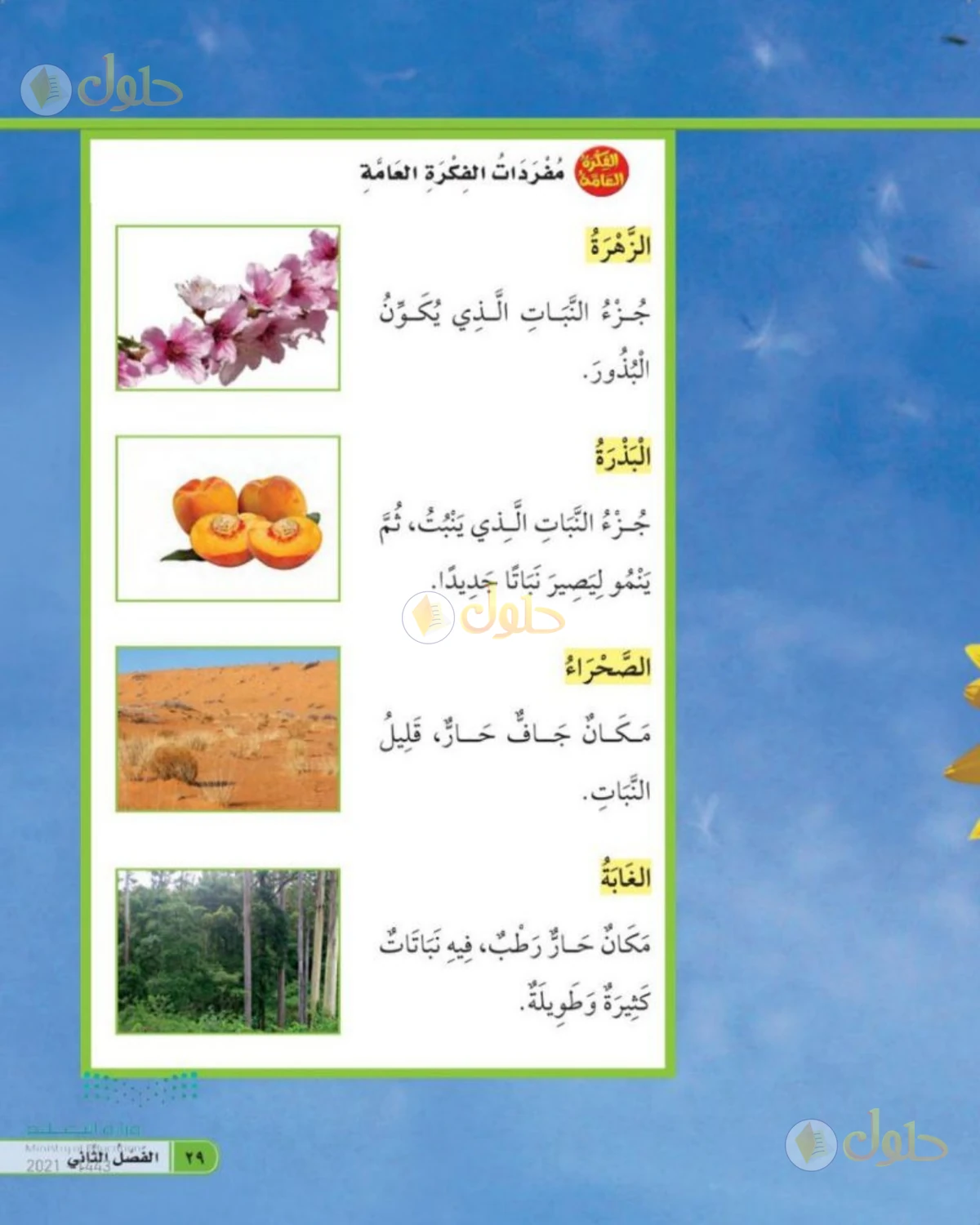 حل العلوم للصف الأول الابتدائي صفحة 29