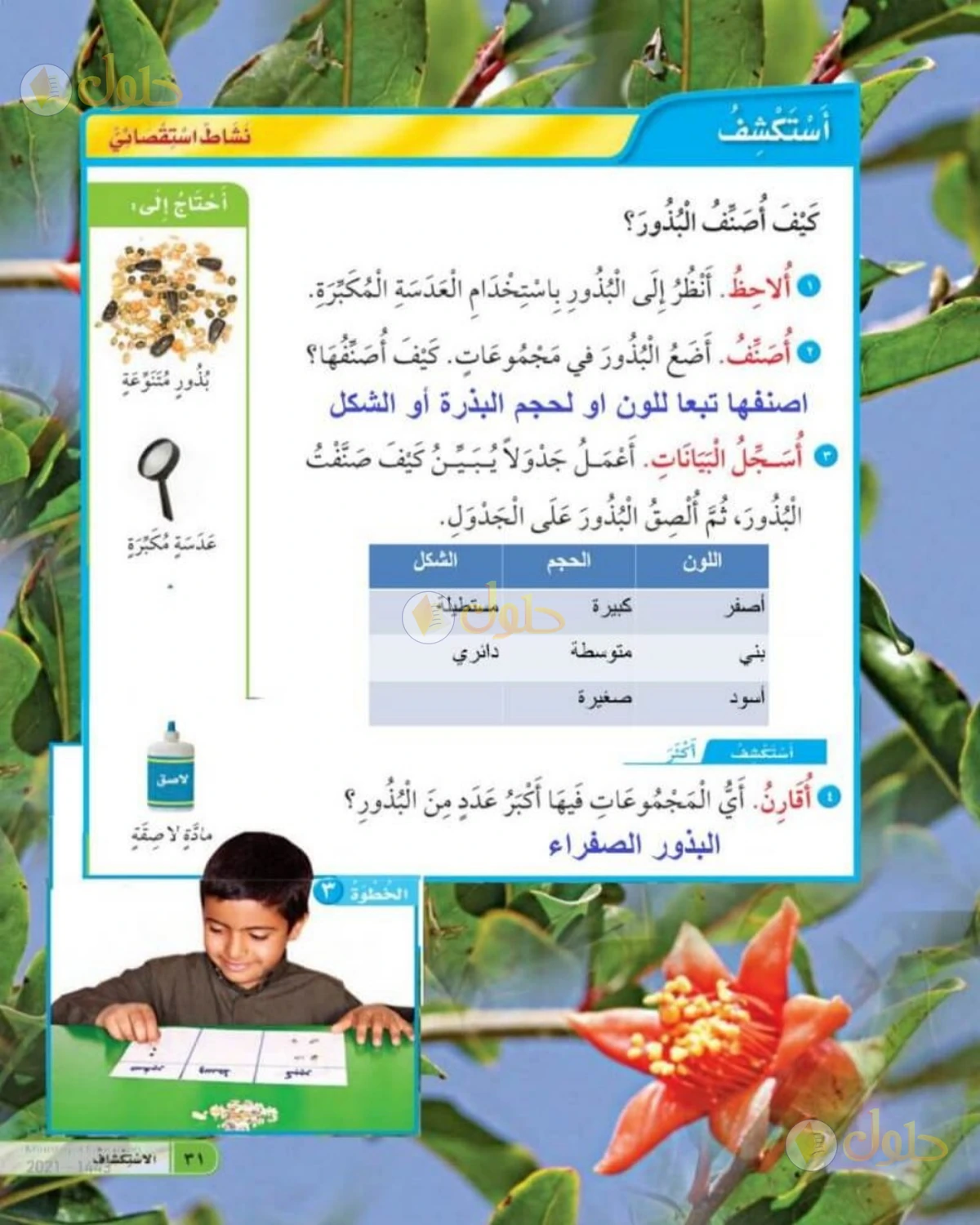 حل العلوم للصف الأول الابتدائي صفحة 31