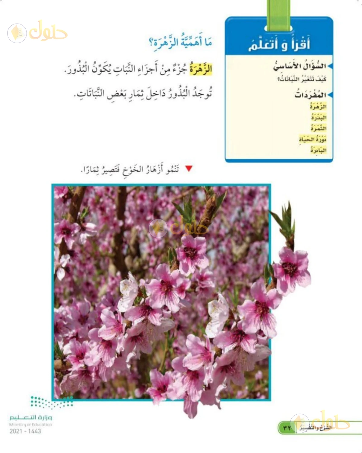 حل العلوم للصف الأول الابتدائي صفحة 32