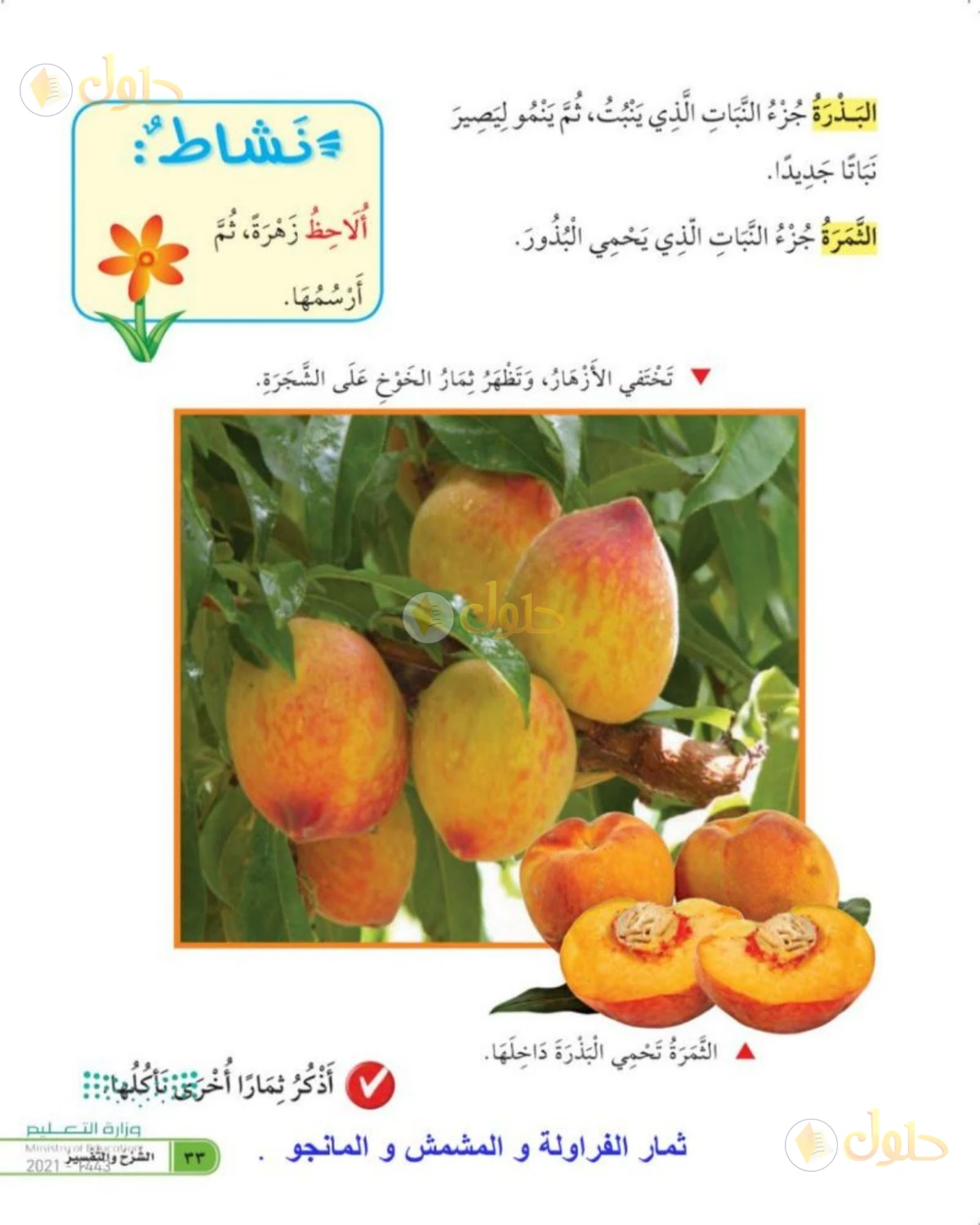 حل العلوم للصف الأول الابتدائي صفحة 33