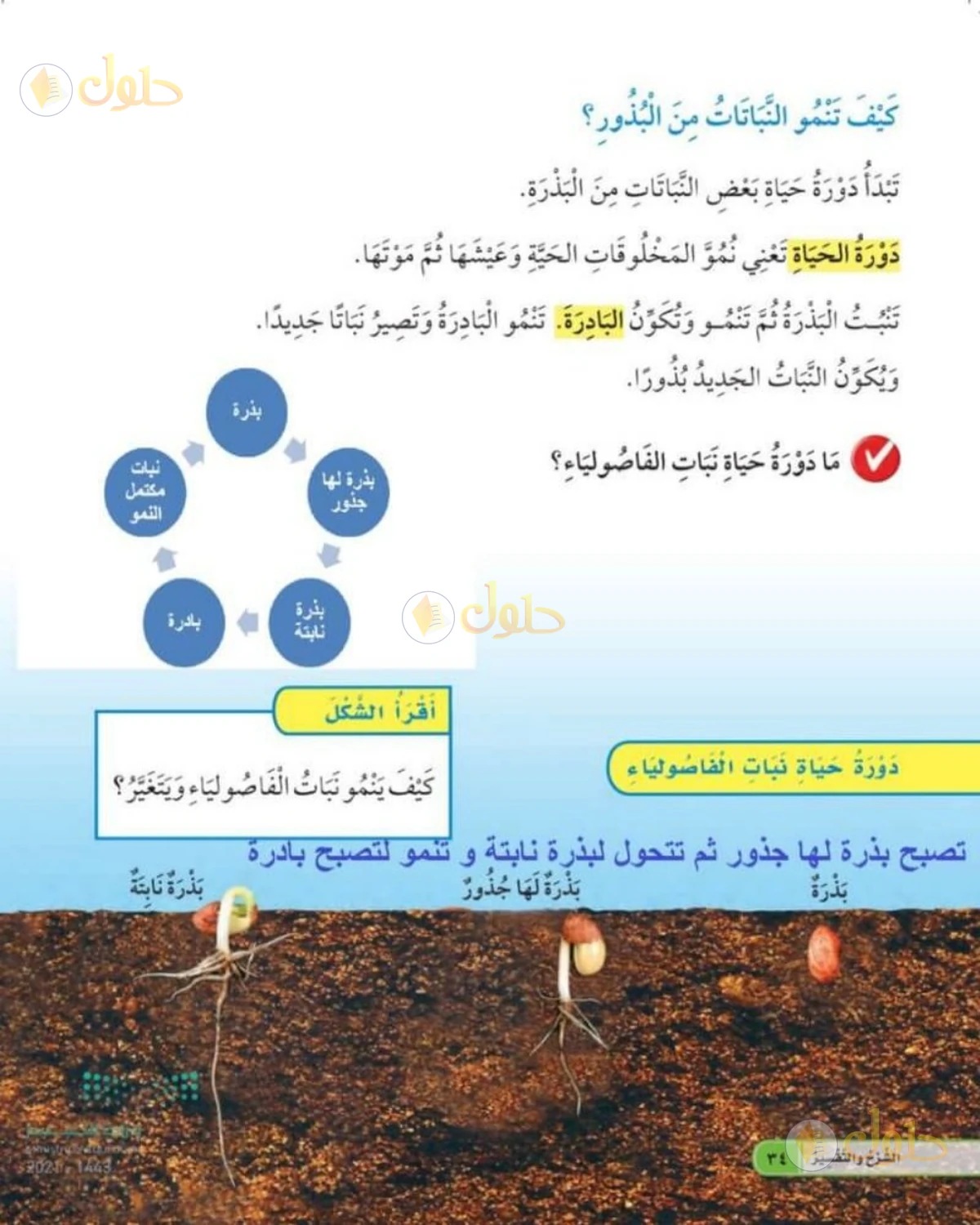 حل العلوم للصف الأول الابتدائي صفحة 34