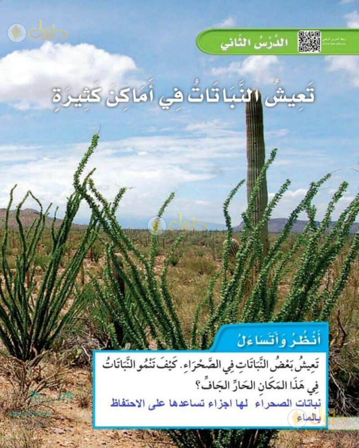 حل العلوم للصف الأول الابتدائي صفحة 36
