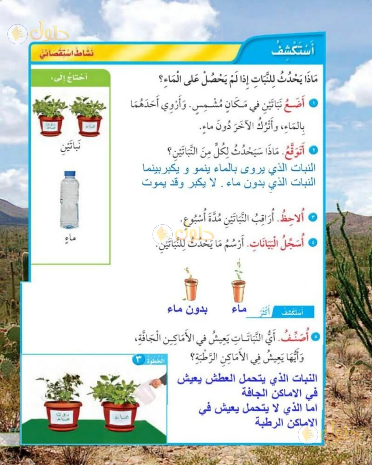 حل العلوم للصف الأول الابتدائي صفحة 37