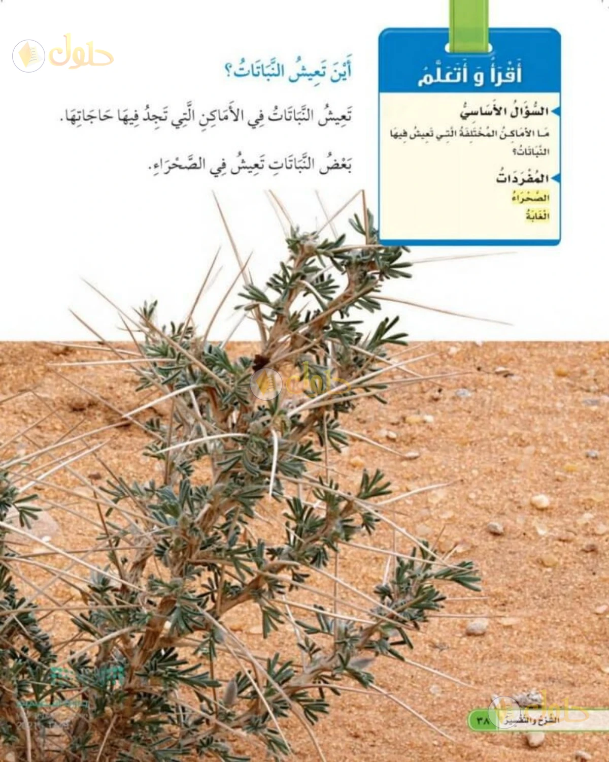 حل العلوم للصف الأول الابتدائي صفحة 38