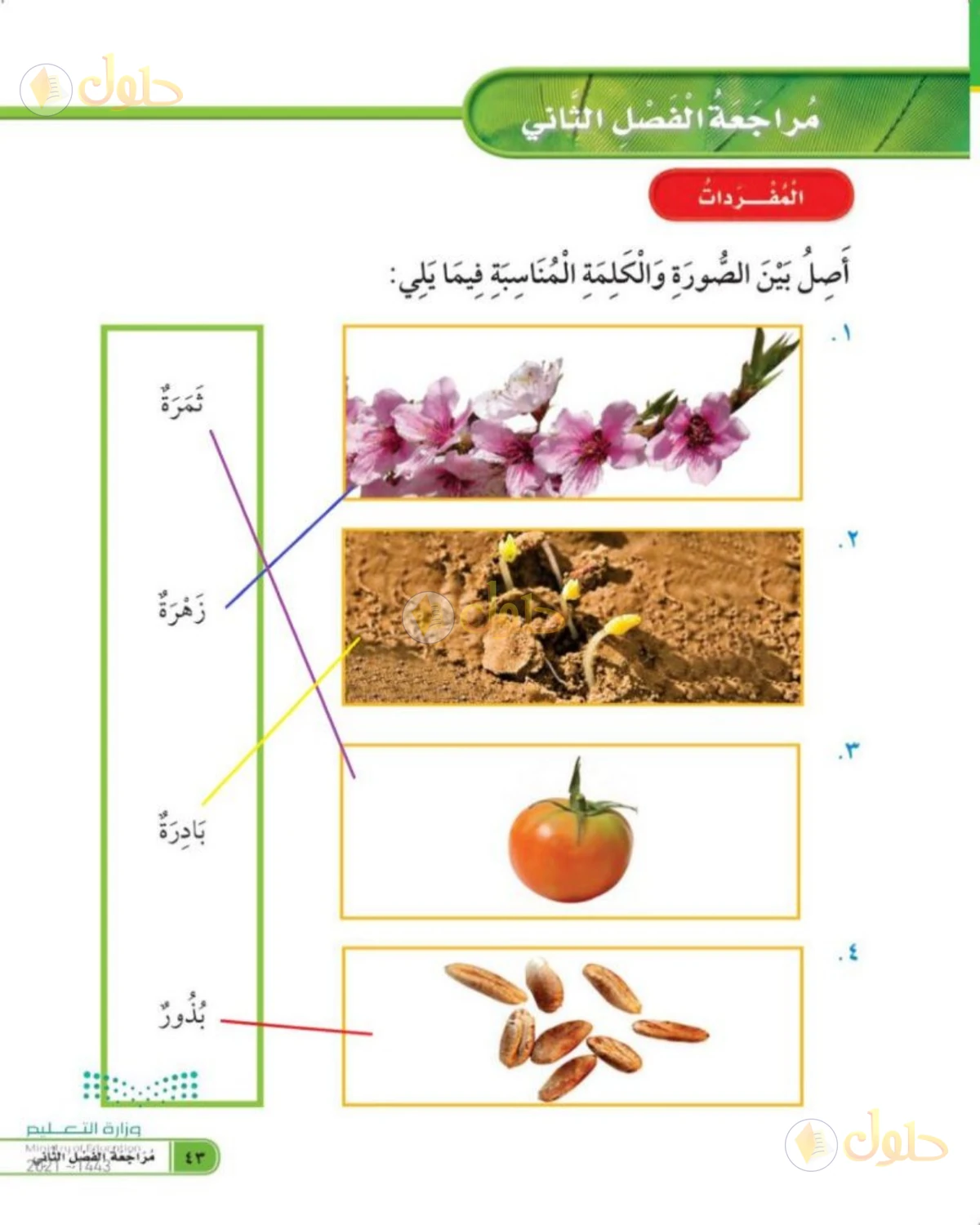 حل العلوم للصف الأول الابتدائي صفحة 43