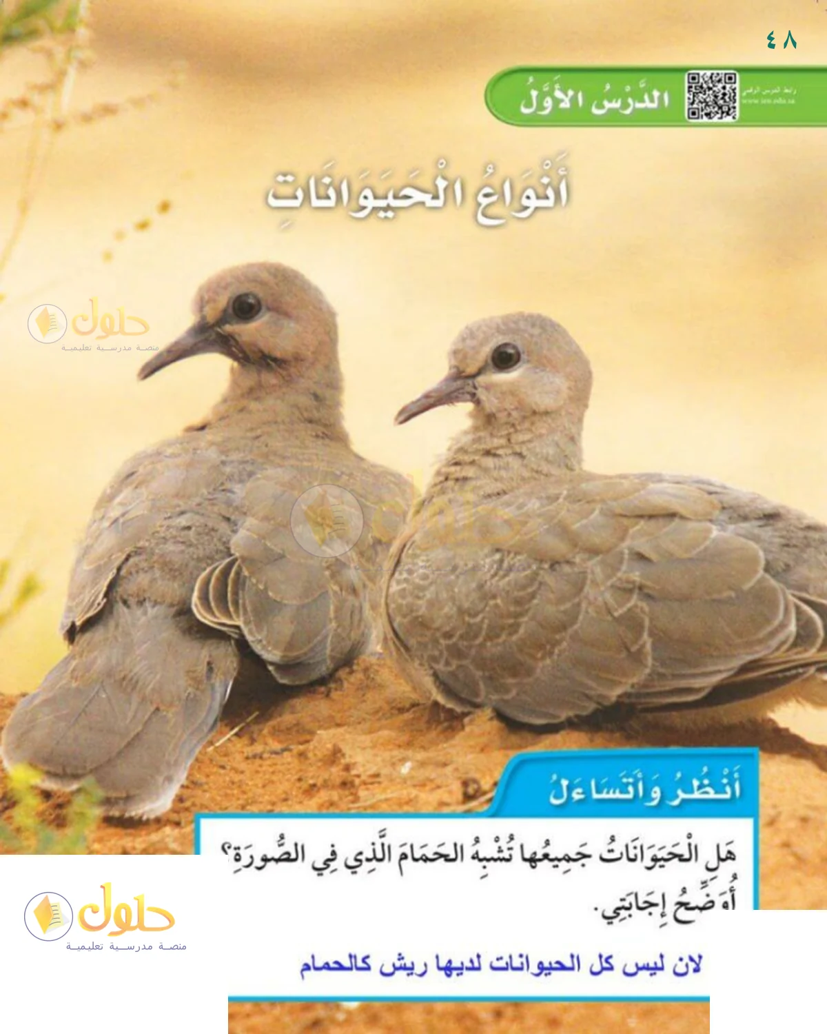 حل العلوم للصف 1 الابتدائي صفحة 48