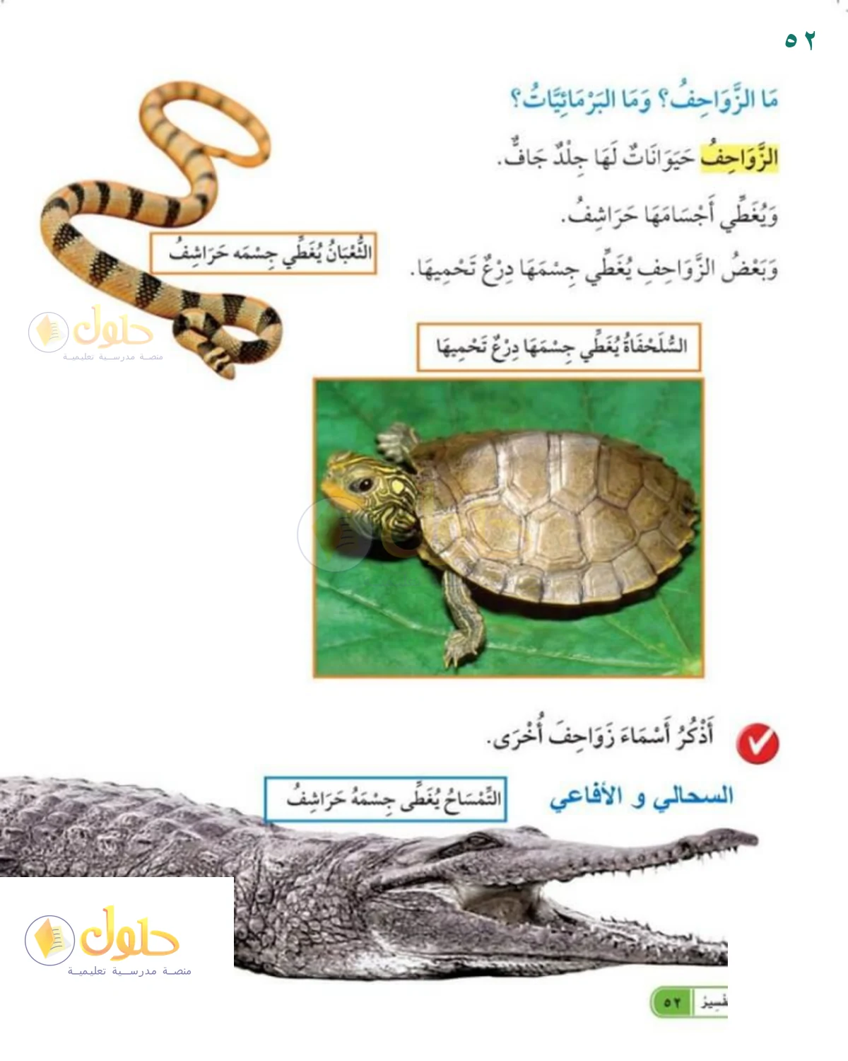 حل العلوم للصف 1 الابتدائي صفحة 52