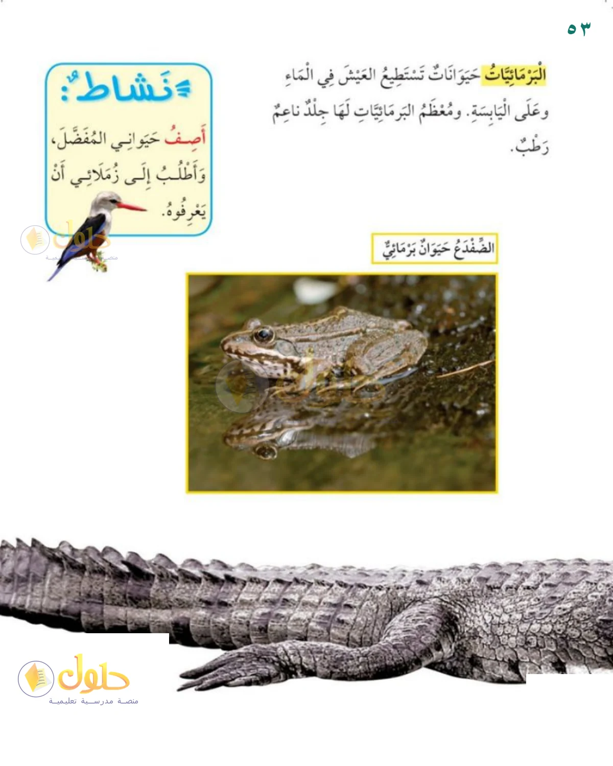 حل العلوم للصف 1 الابتدائي صفحة 53