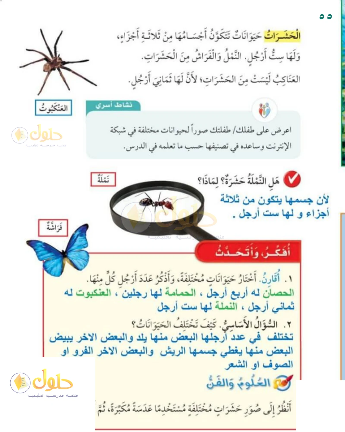 حل العلوم للصف 1 الابتدائي صفحة 55