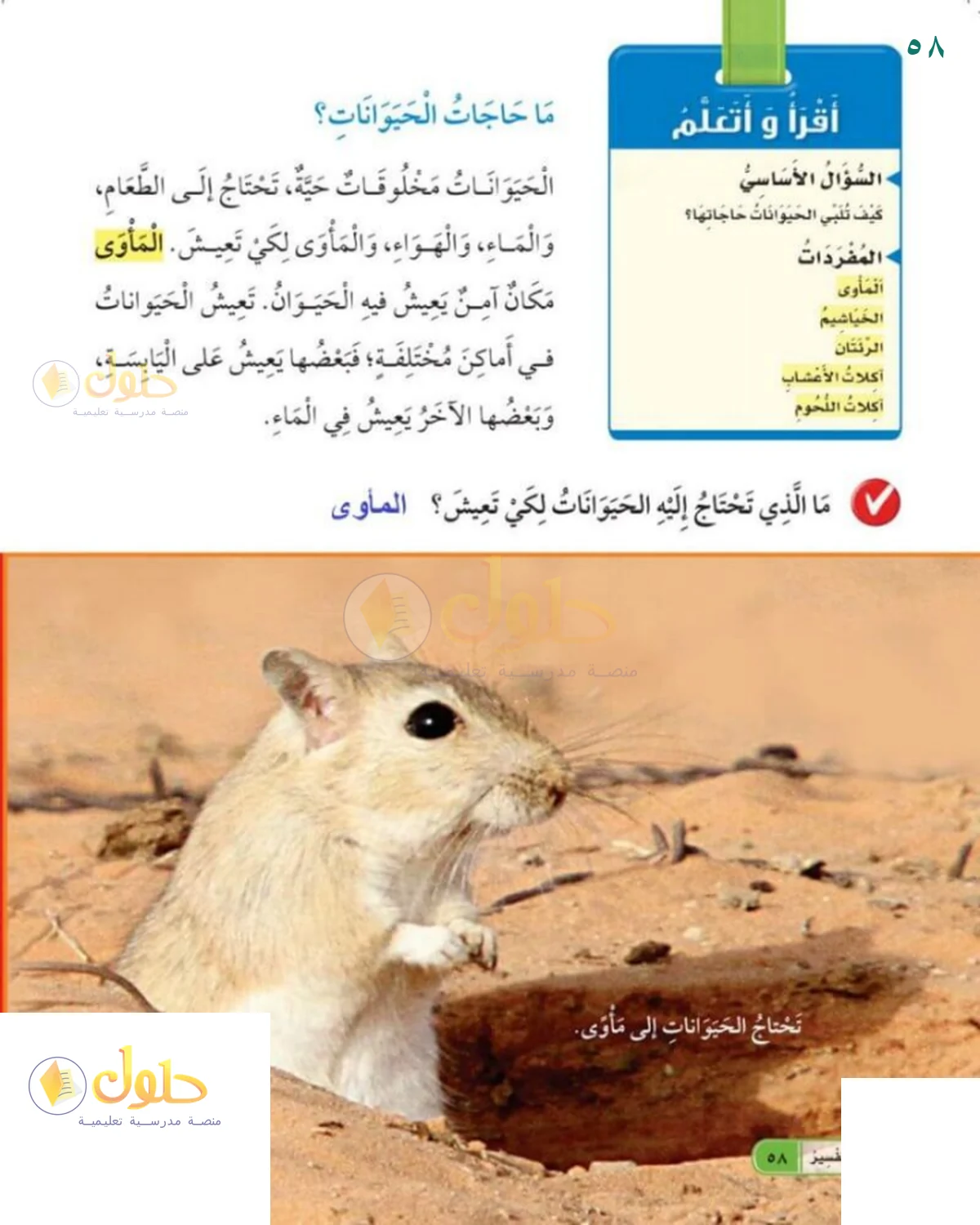 حل العلوم للصف 1 الابتدائي صفحة 58