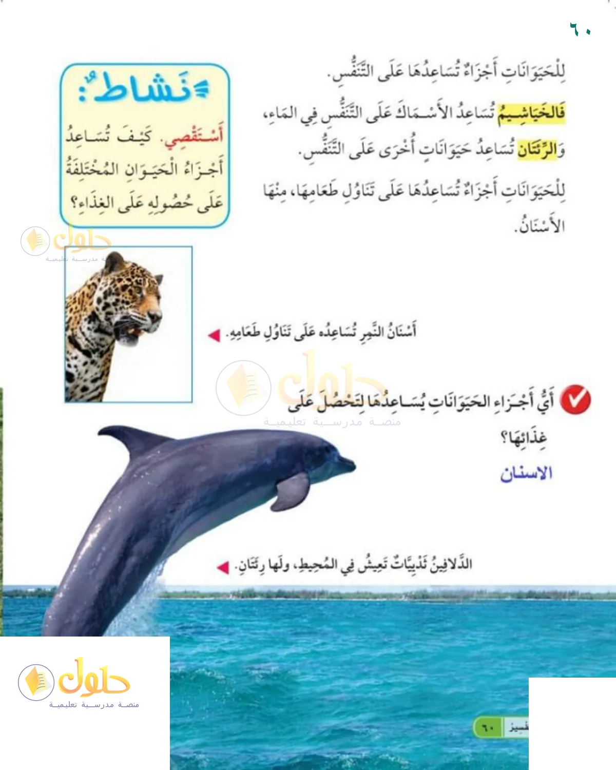 حل العلوم للصف 1 الابتدائي صفحة 60