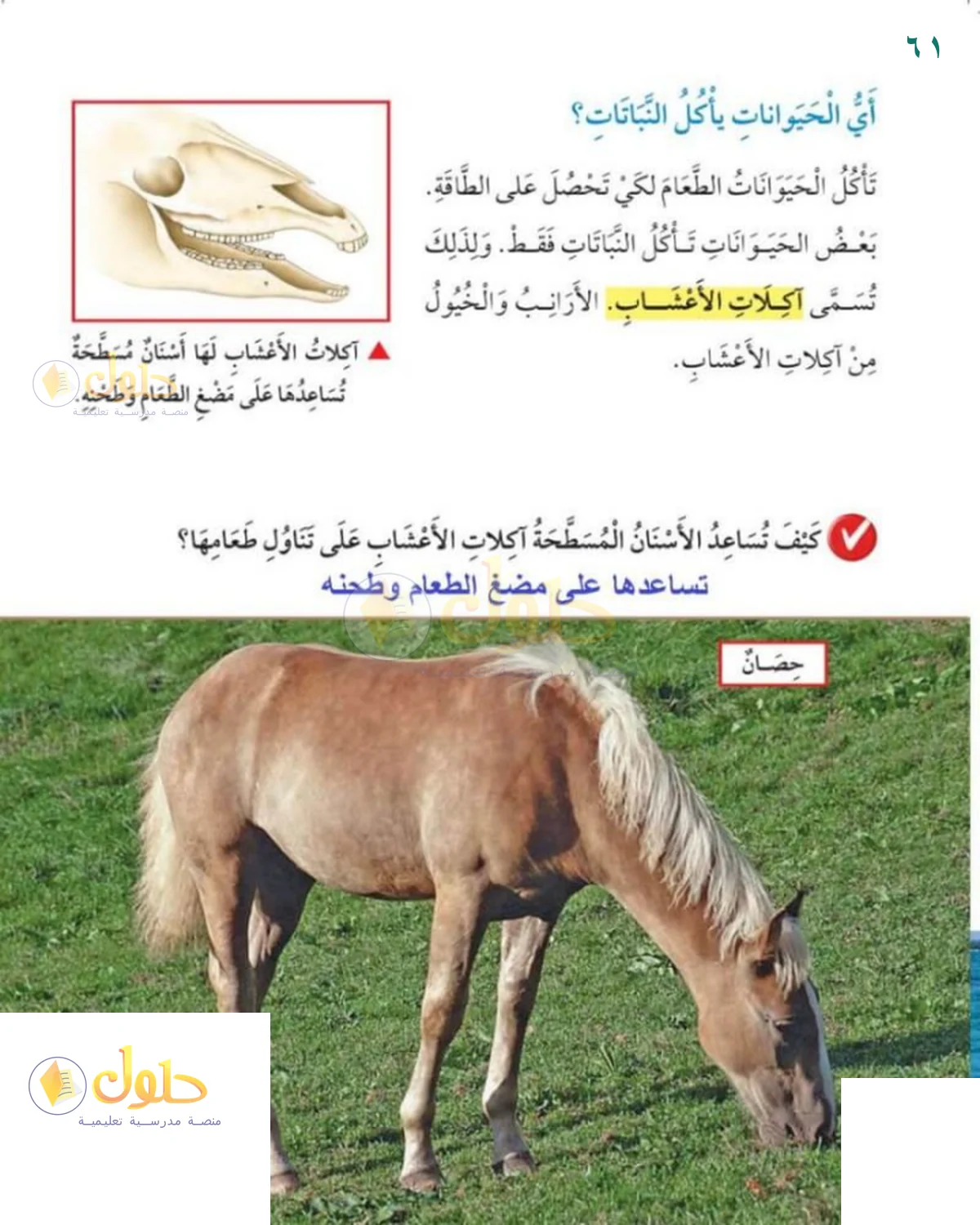 حل العلوم للصف 1 الابتدائي صفحة 61