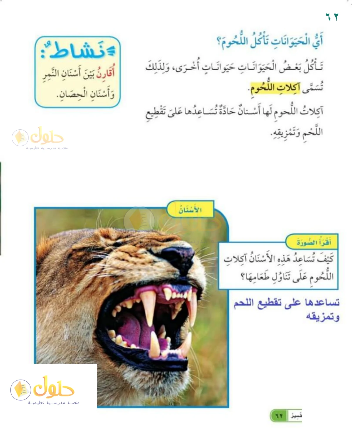 حل العلوم للصف 1 الابتدائي صفحة 62