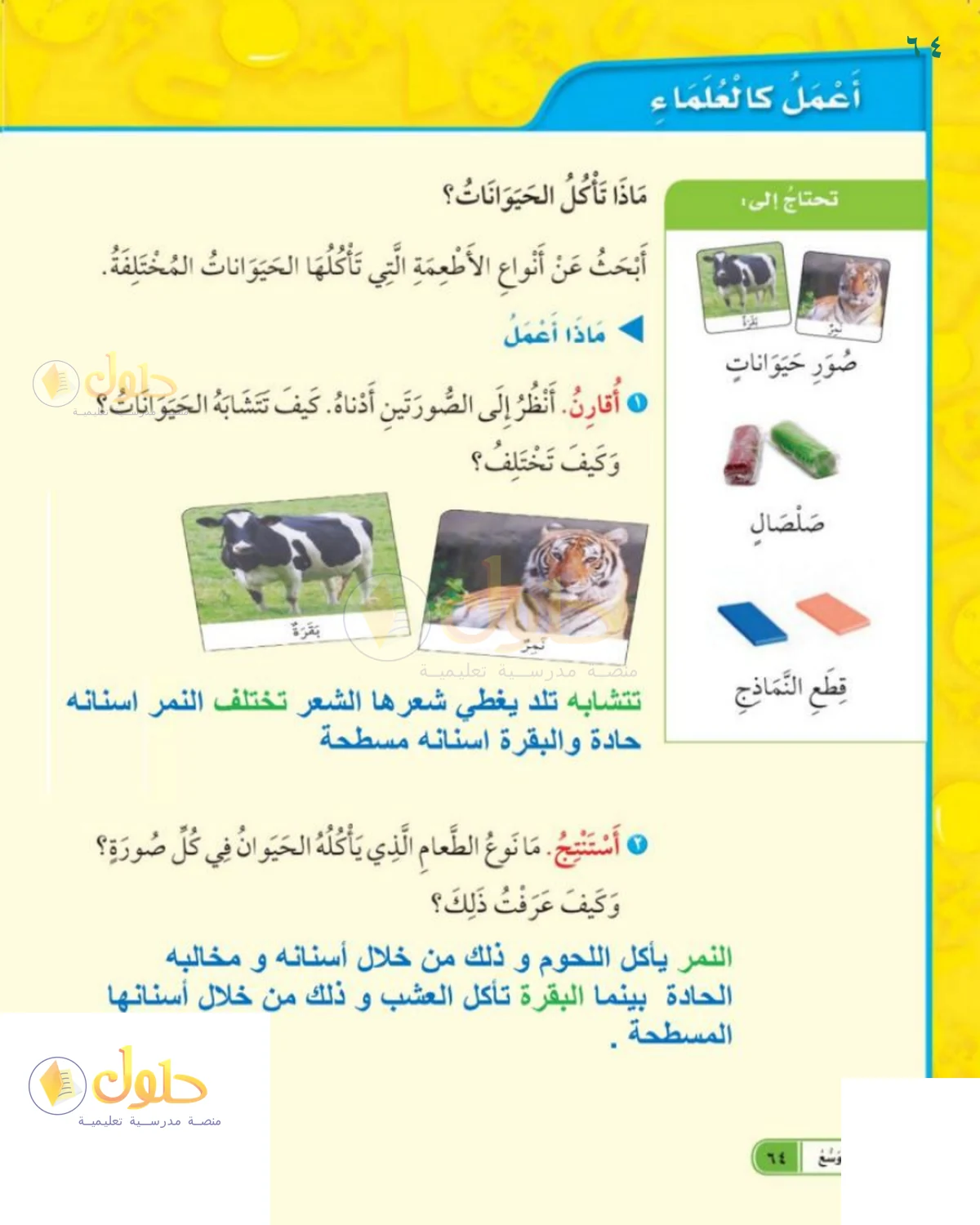حل العلوم للصف 1 الابتدائي صفحة 64