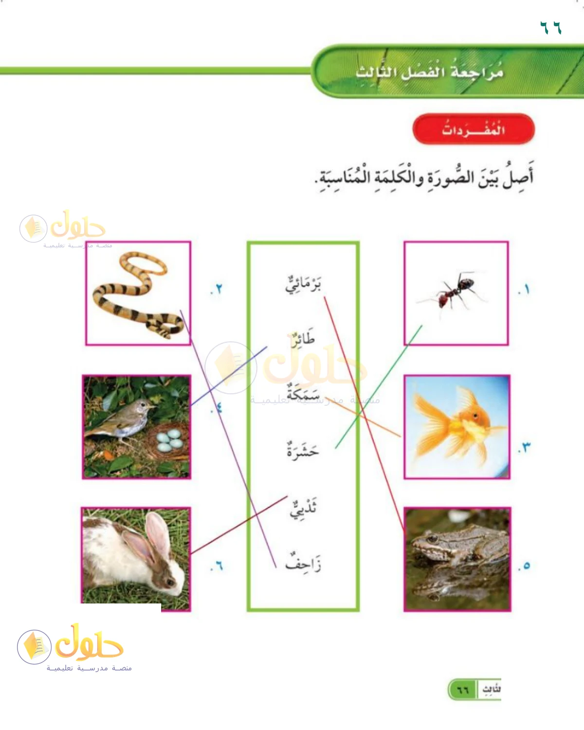 حل العلوم للصف 1 الابتدائي صفحة 66