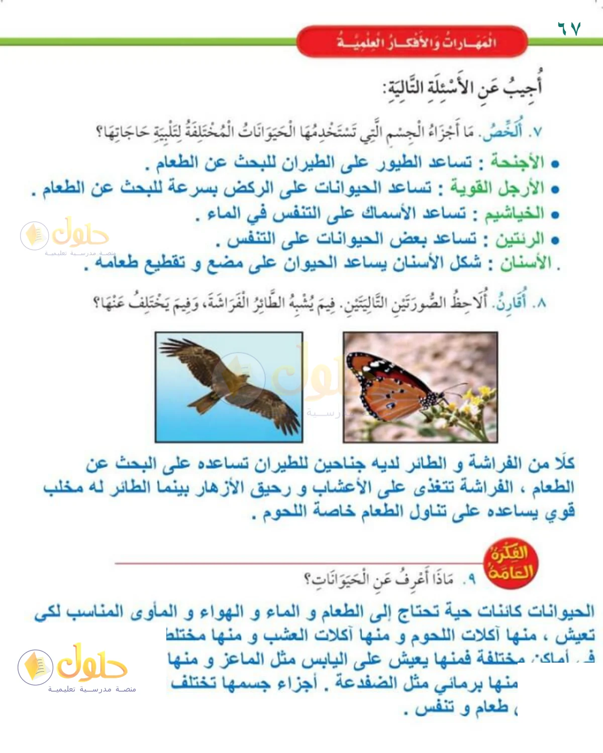 حل العلوم للصف 1 الابتدائي صفحة 67