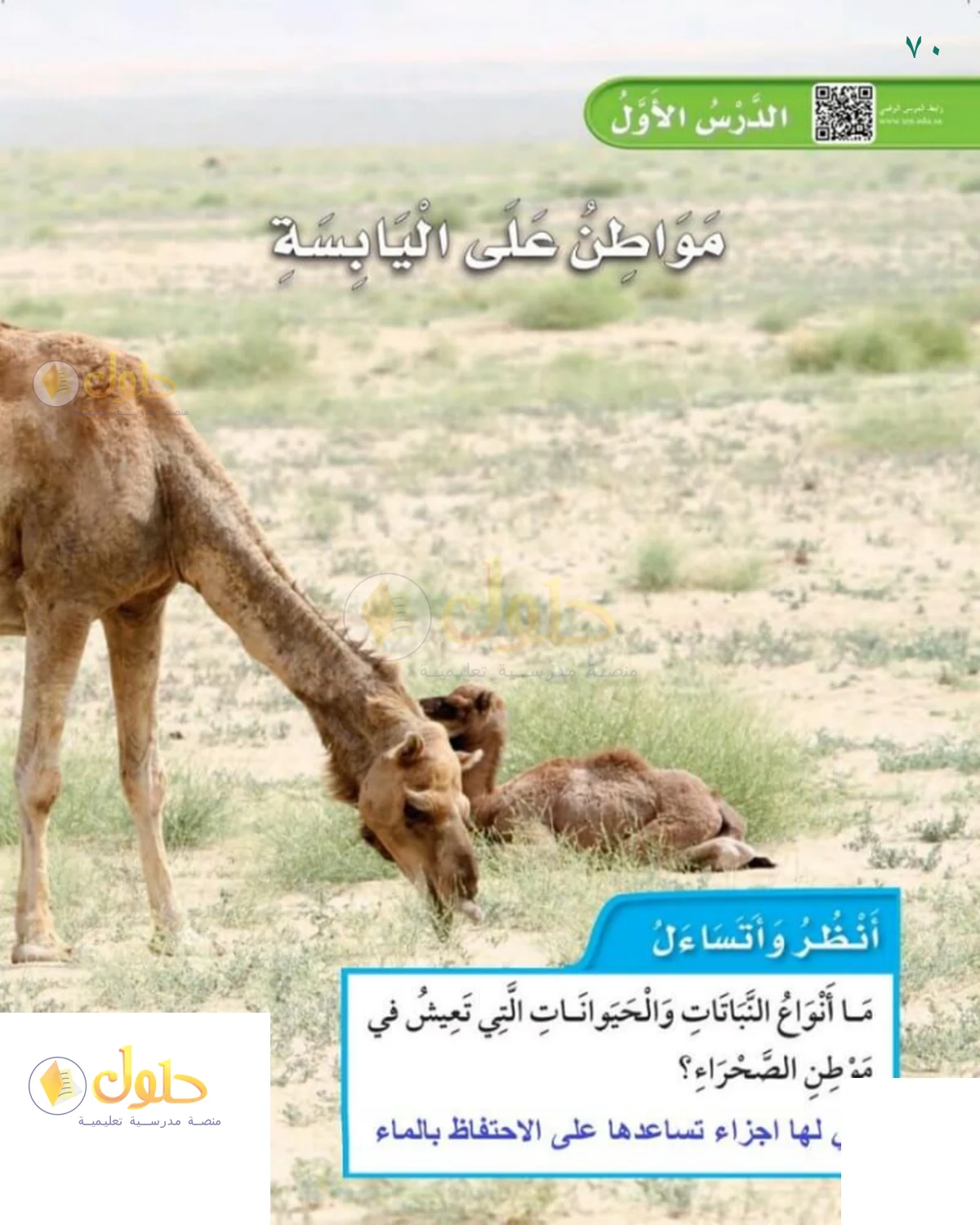 حل العلوم للصف 1 الابتدائي صفحة 70