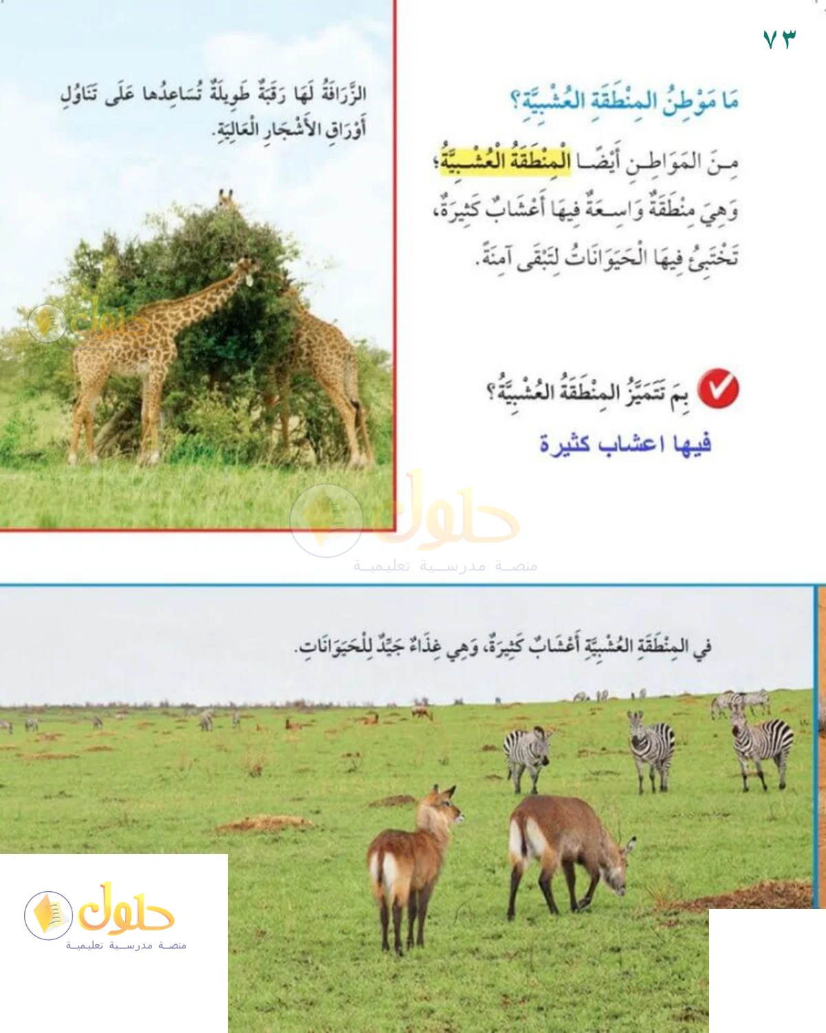 حل العلوم للصف 1 الابتدائي صفحة 73