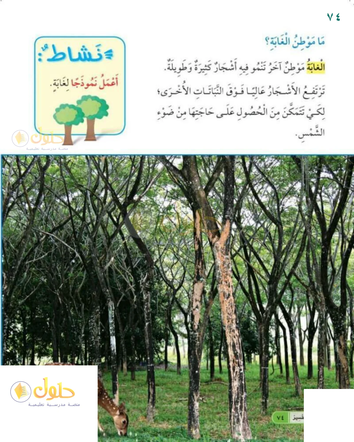 حل العلوم للصف 1 الابتدائي صفحة 74