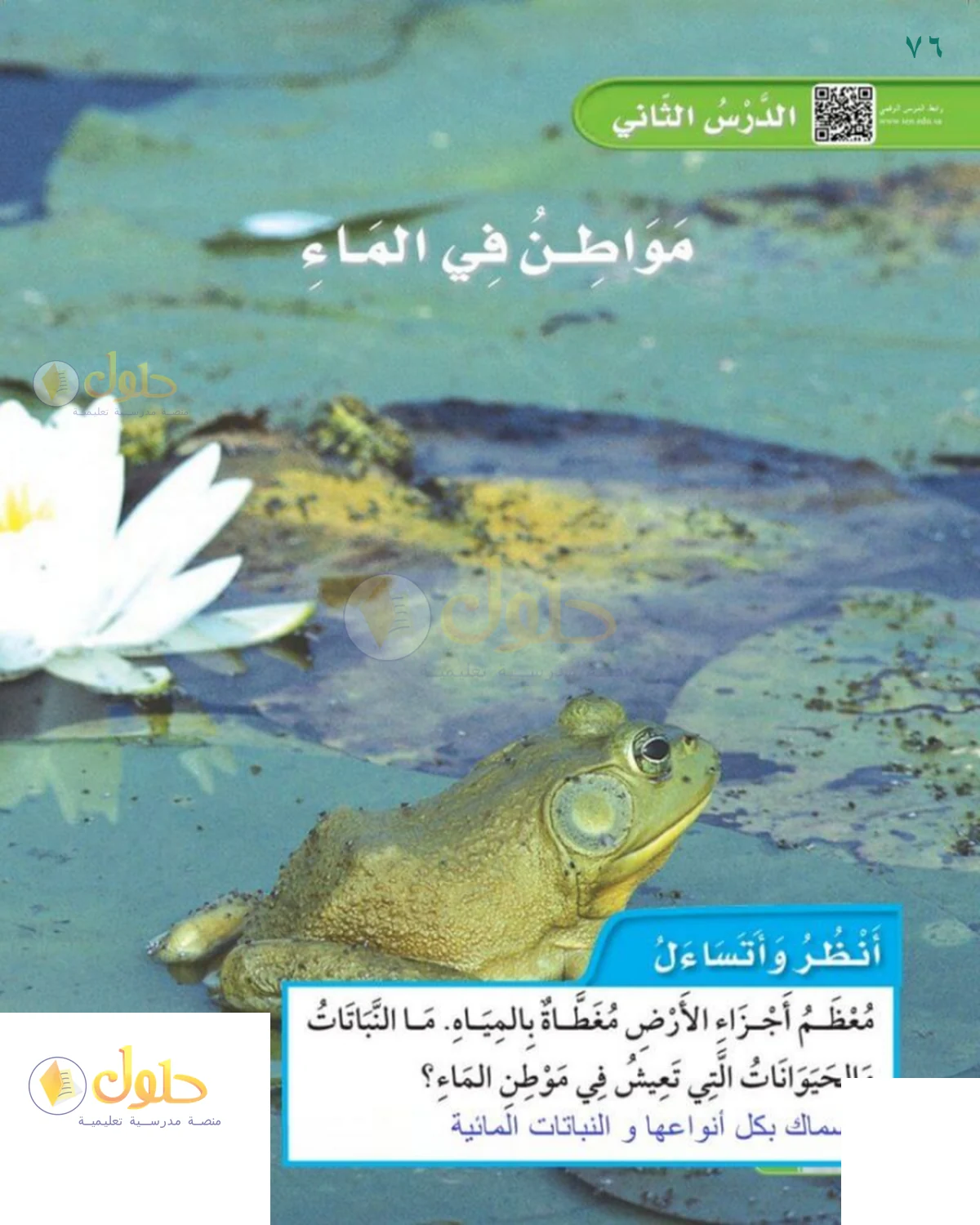 حل العلوم للصف 1 الابتدائي صفحة 76
