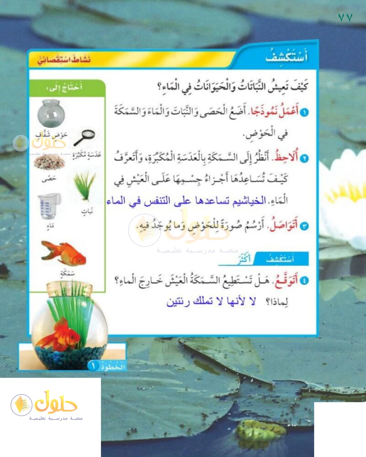 حل العلوم للصف 1 الابتدائي صفحة 77