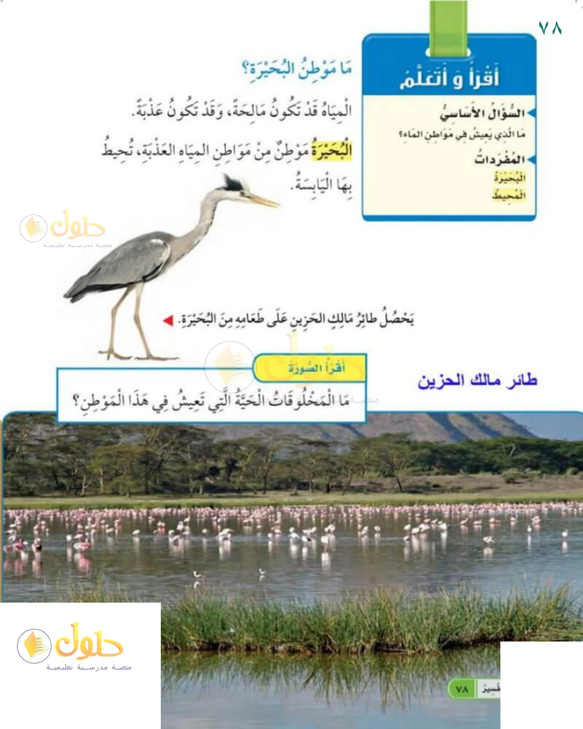 حل العلوم للصف 1 الابتدائي صفحة 78