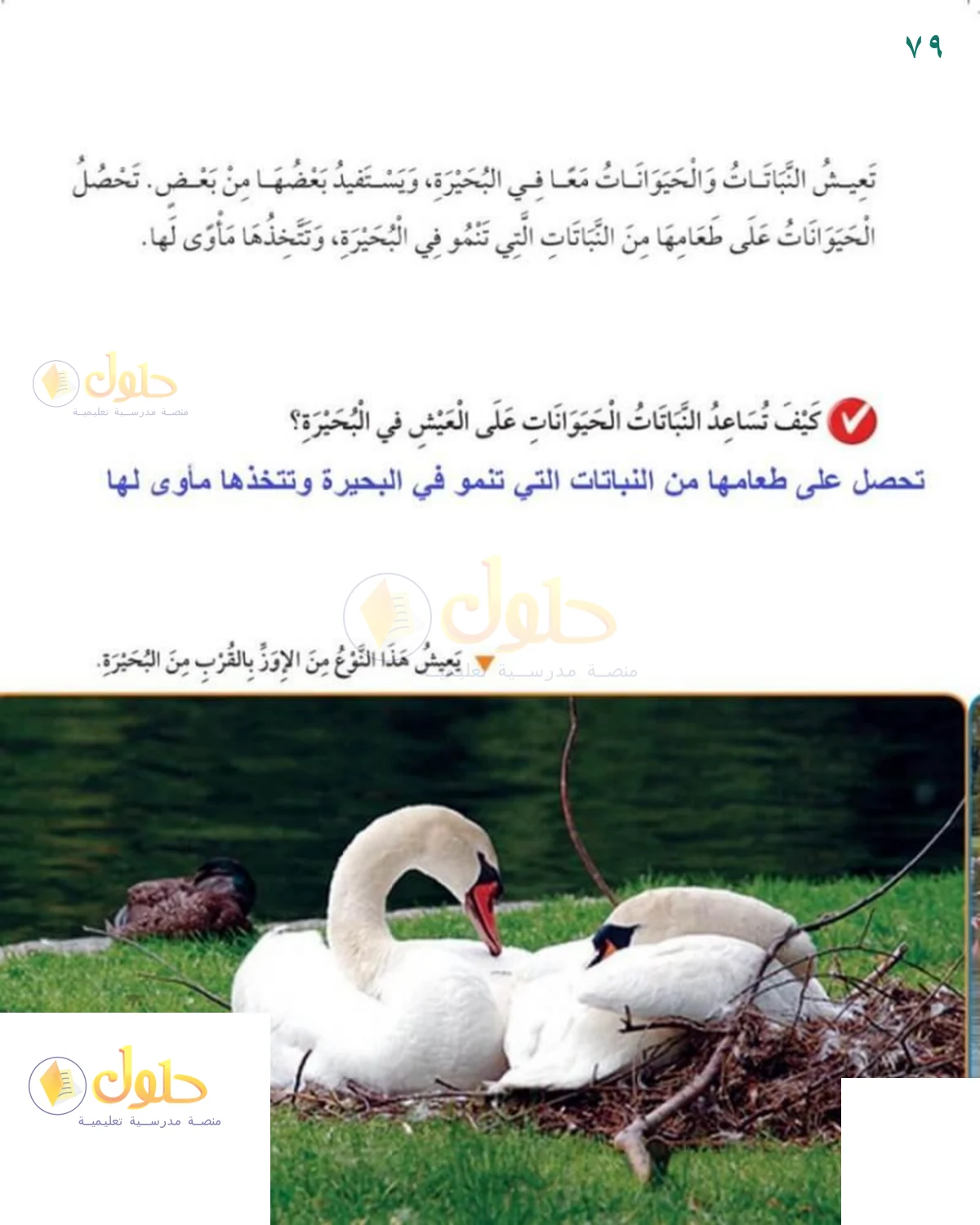 حل العلوم للصف 1 الابتدائي صفحة 79
