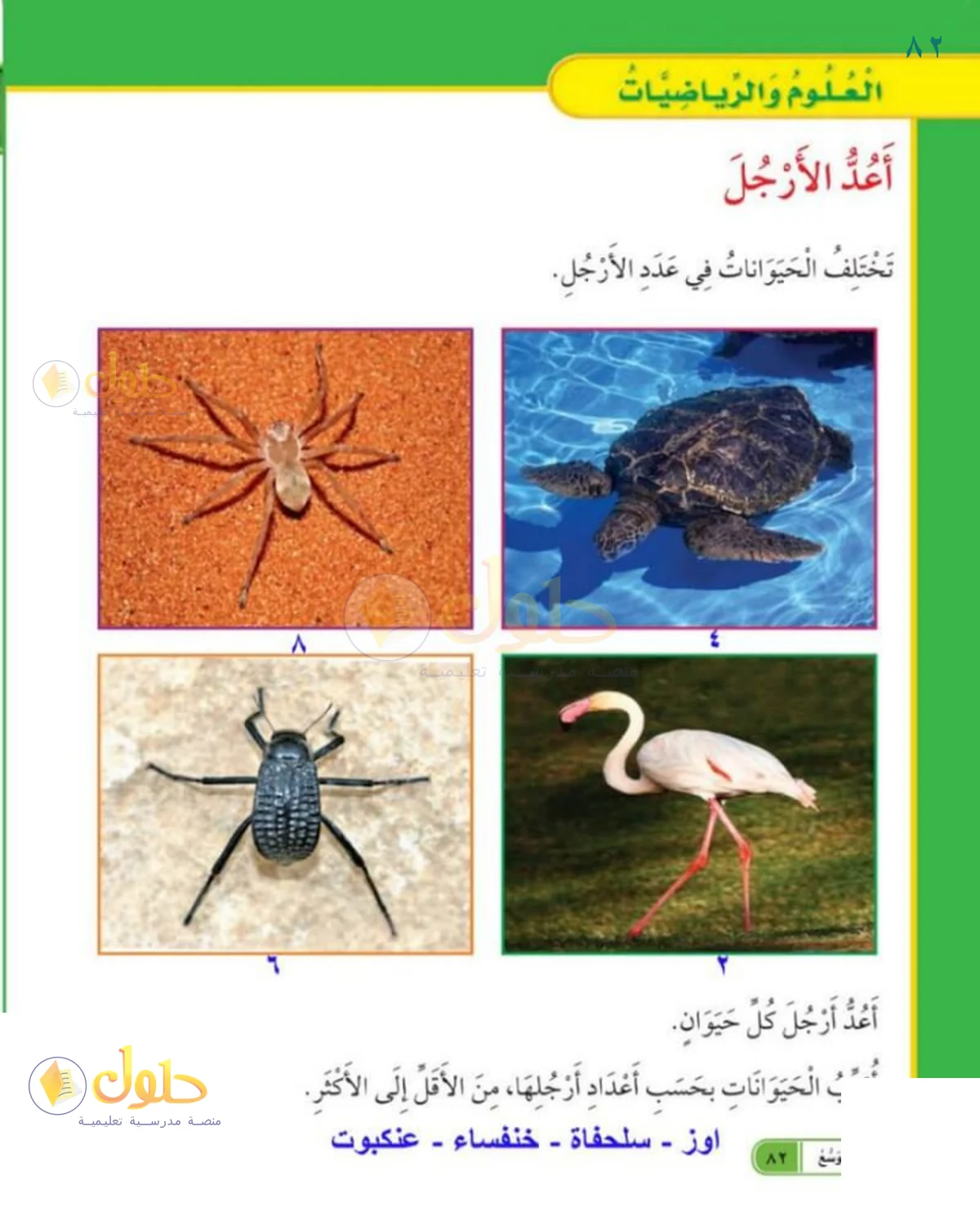 حل العلوم للصف 1 الابتدائي صفحة 82
