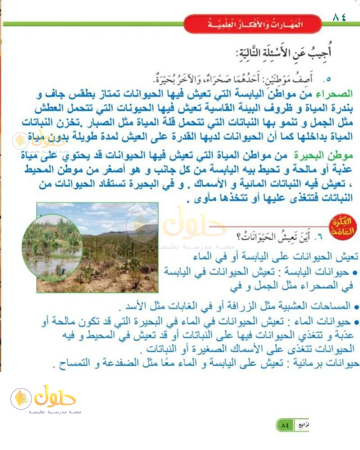 حل العلوم للصف 1 الابتدائي صفحة 84