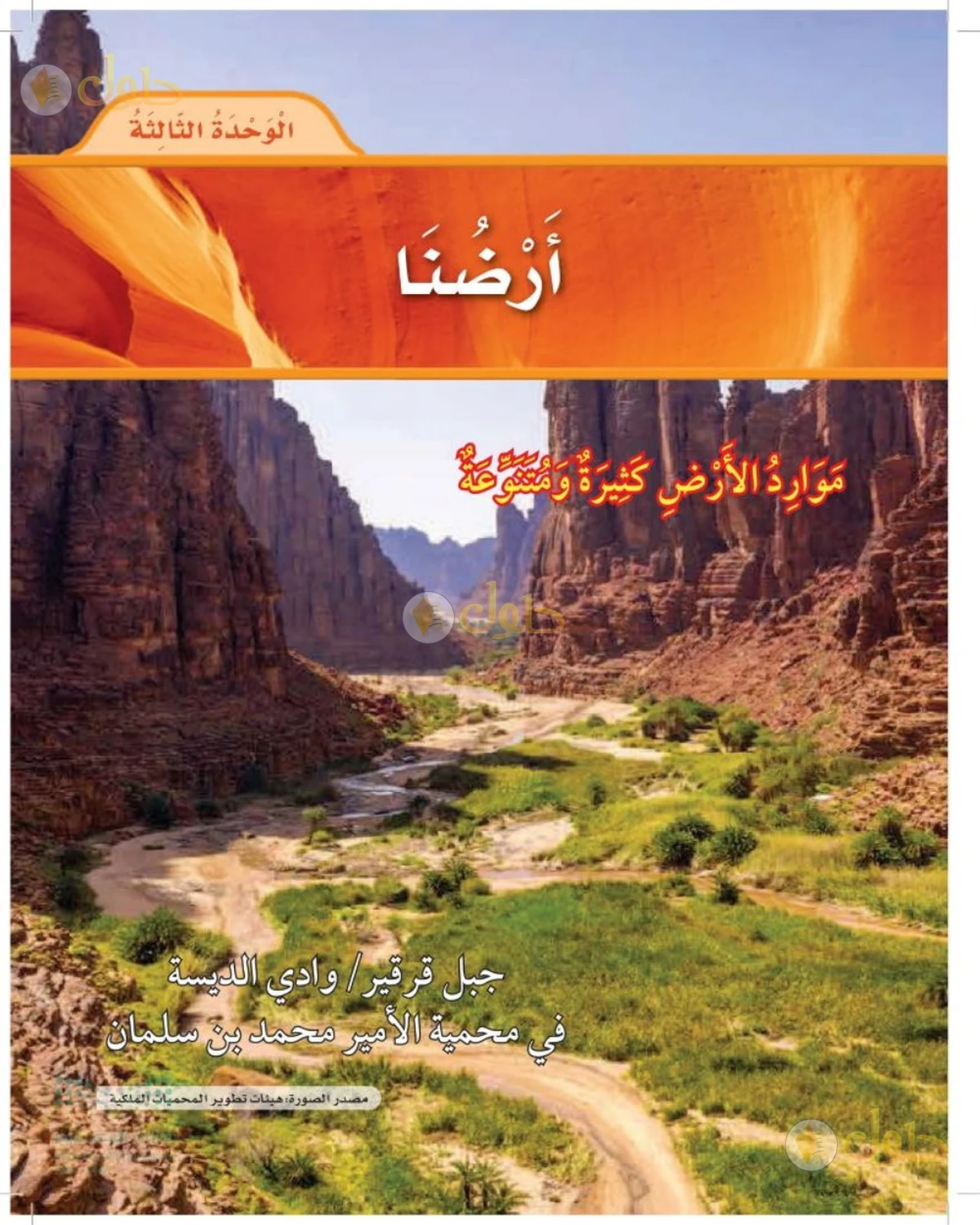 حل العلوم للصف الأول الابتدائي صفحة 85