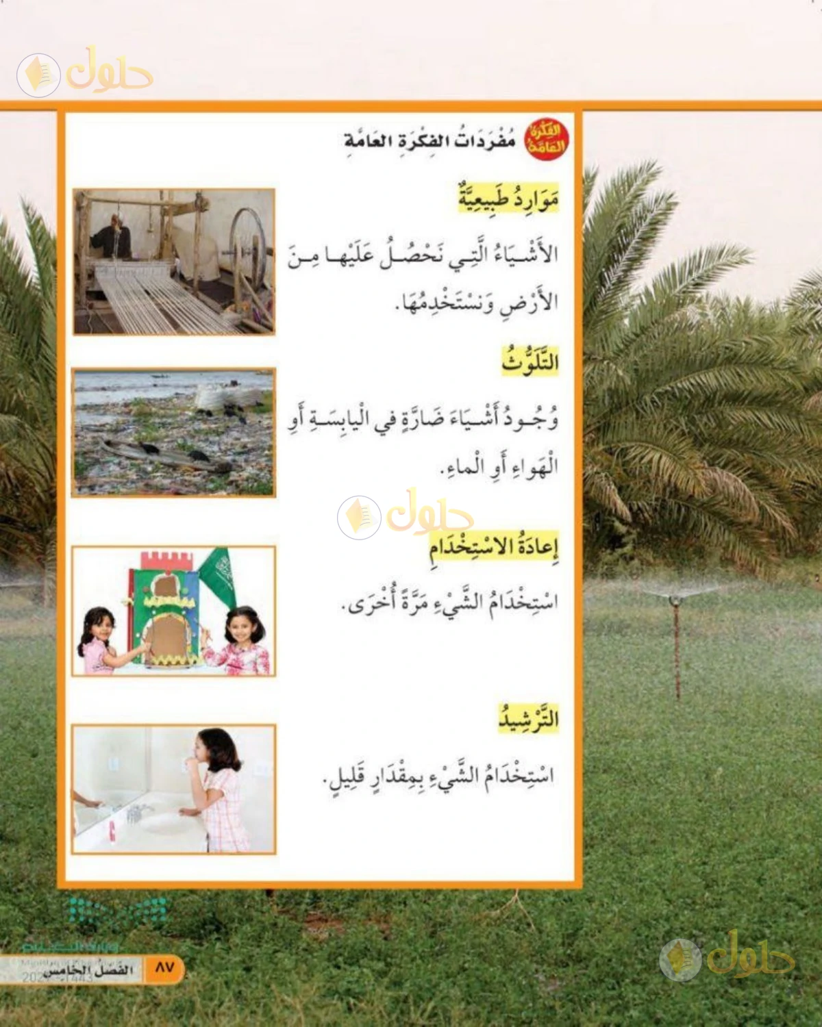 حل العلوم للصف الأول الابتدائي صفحة 87