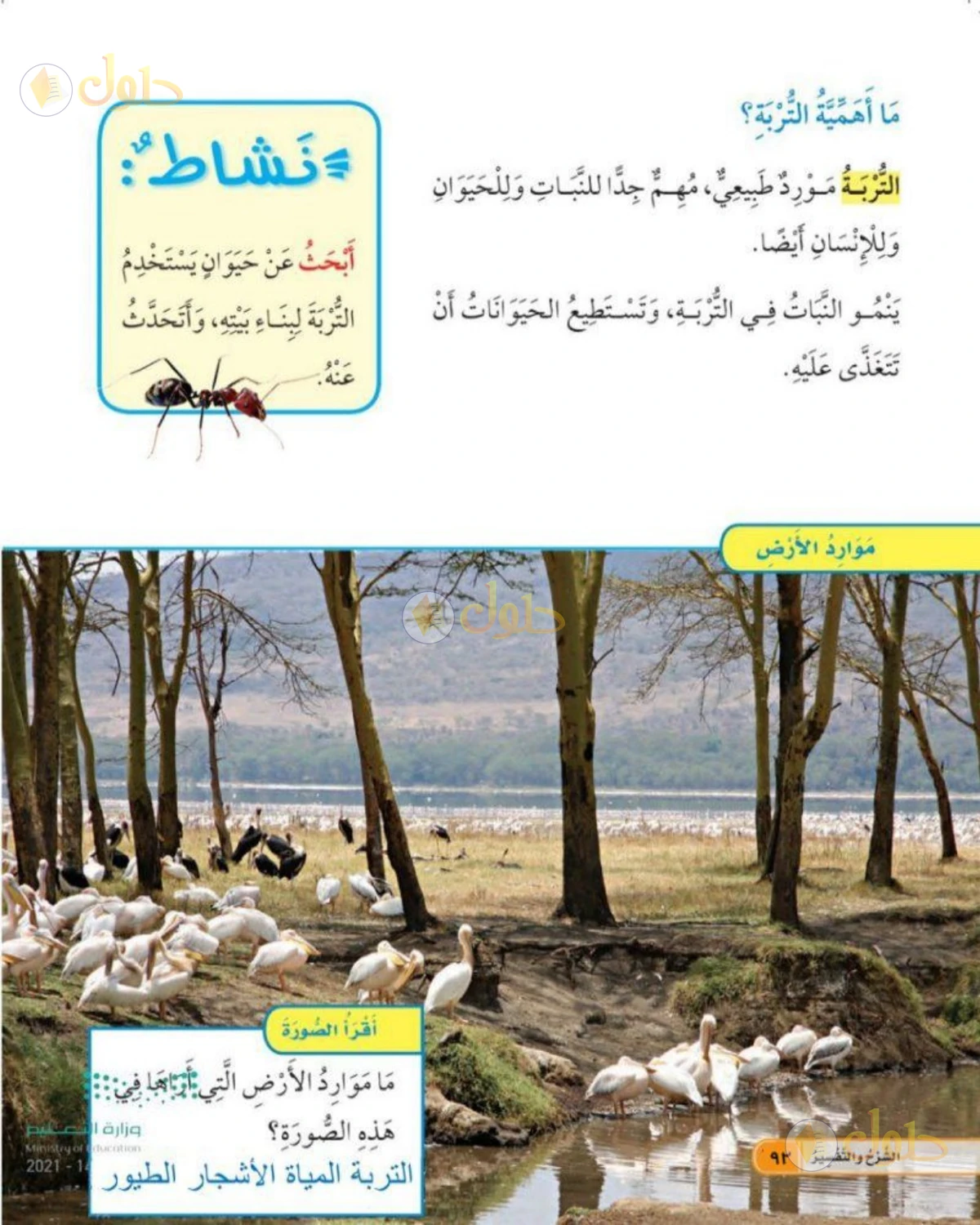 حل العلوم للصف الأول الابتدائي صفحة 92