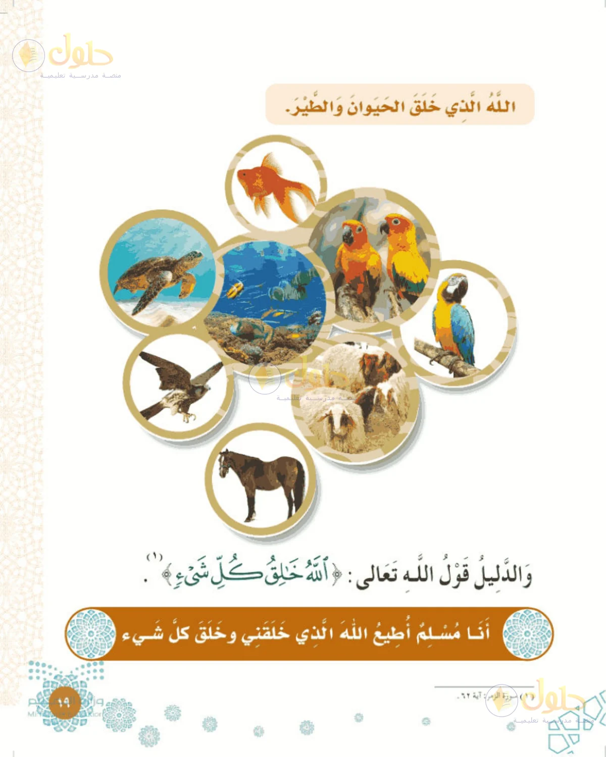 حل التوحيد للصف الأول الابتدائي صفحة 19