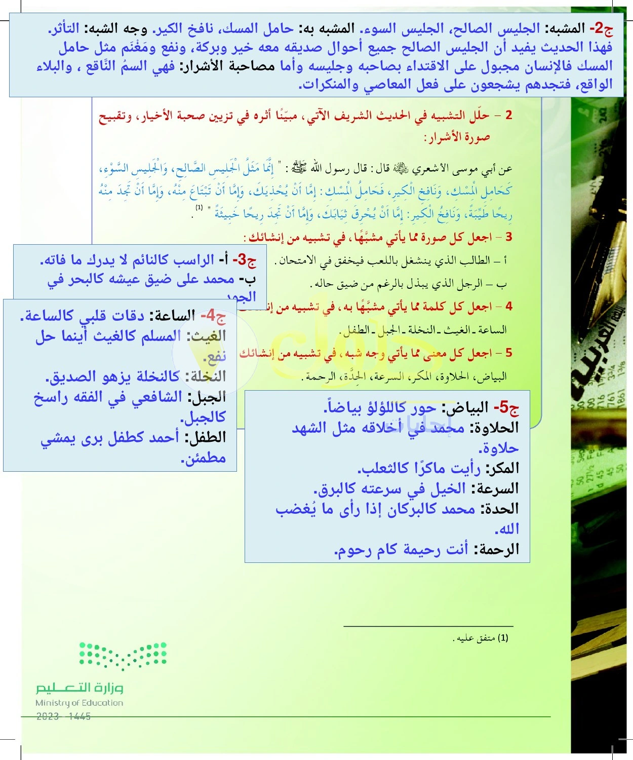 حل أنشطة تحليل التشبيه وإنشاء صور حسية ومعنوية — صفحة ٦٢ في كتاب البلاغة والنقد للصف الثالث الثانوي
