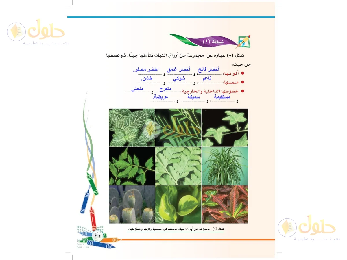 حل التربية الفنية للصف الثاني الابتدائي صفحة 21