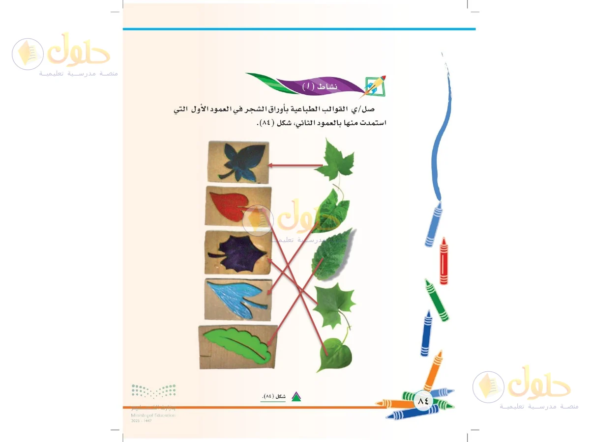 حل التربية الفنية للصف الثاني الابتدائي صفحة 84