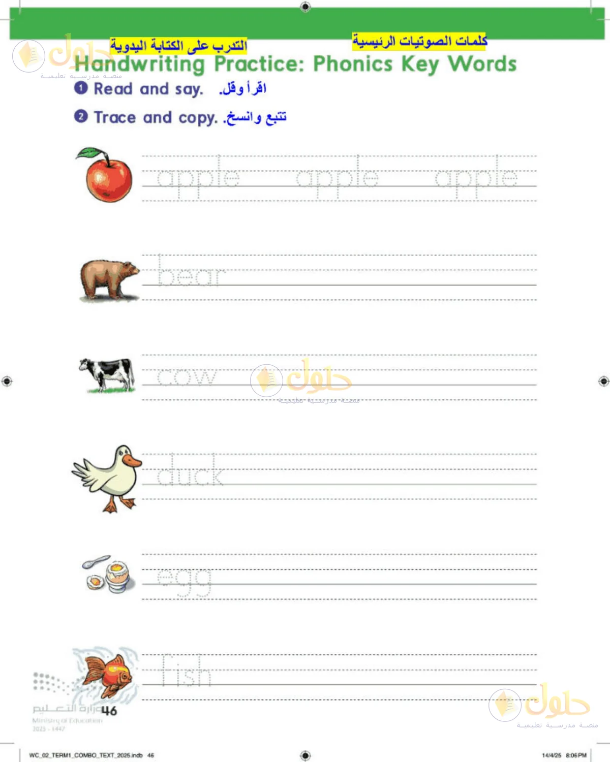 حل اللغة الإنجليزية للصف الثاني الابتدائي صفحة 46