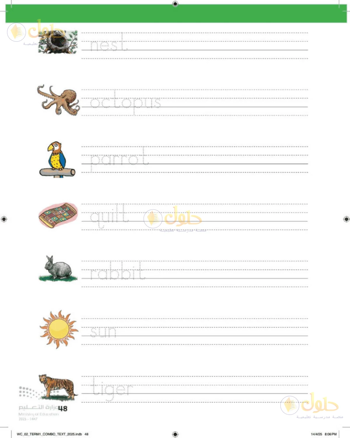 حل اللغة الإنجليزية للصف الثاني الابتدائي صفحة 48