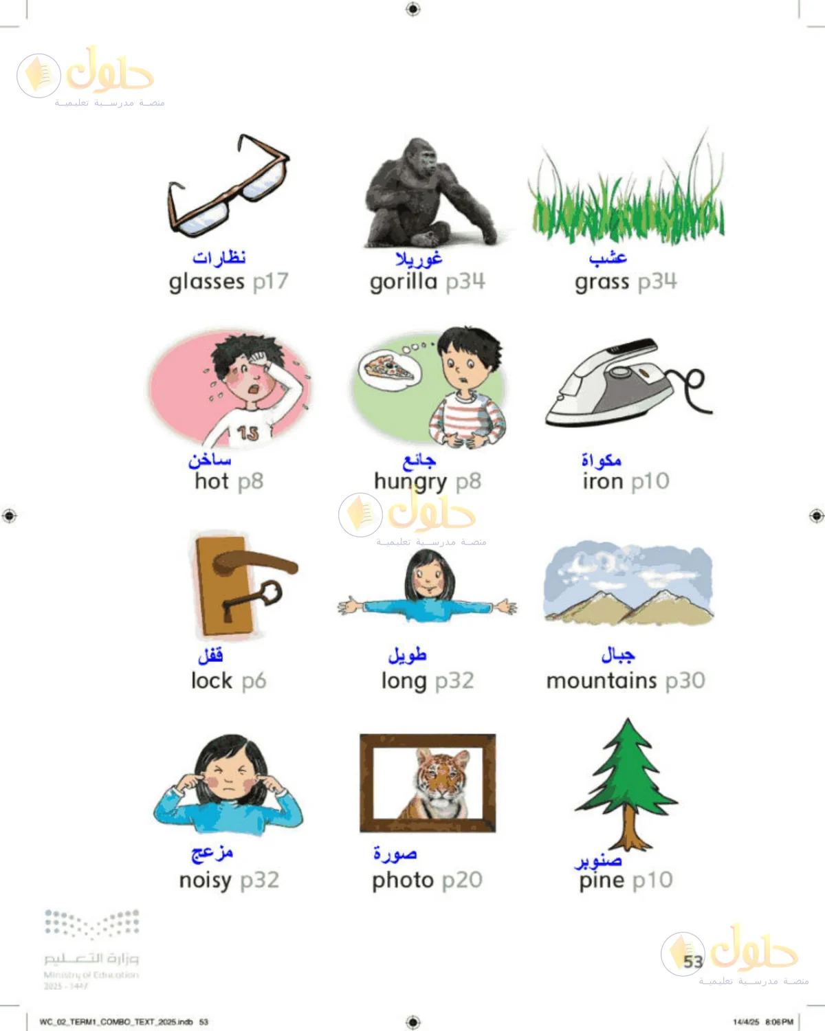 حل اللغة الإنجليزية للصف الثاني الابتدائي صفحة 53