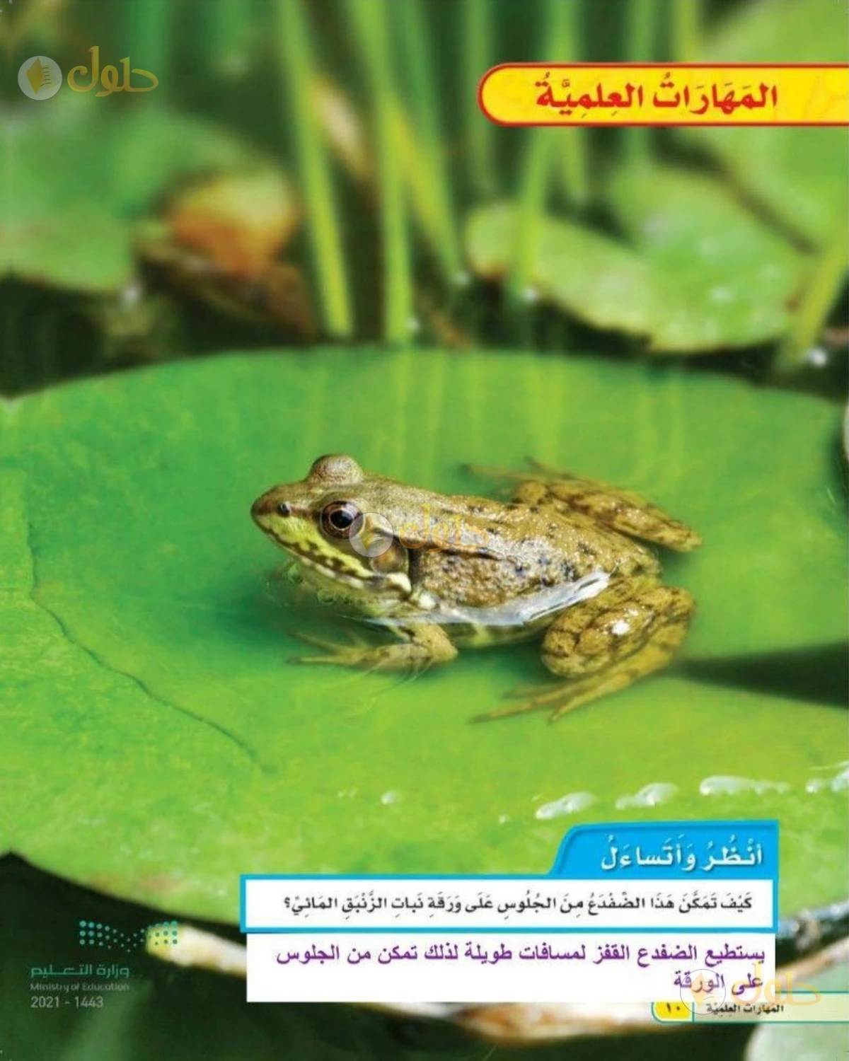 حل العلوم للصف الثاني الابتدائي صفحة 10