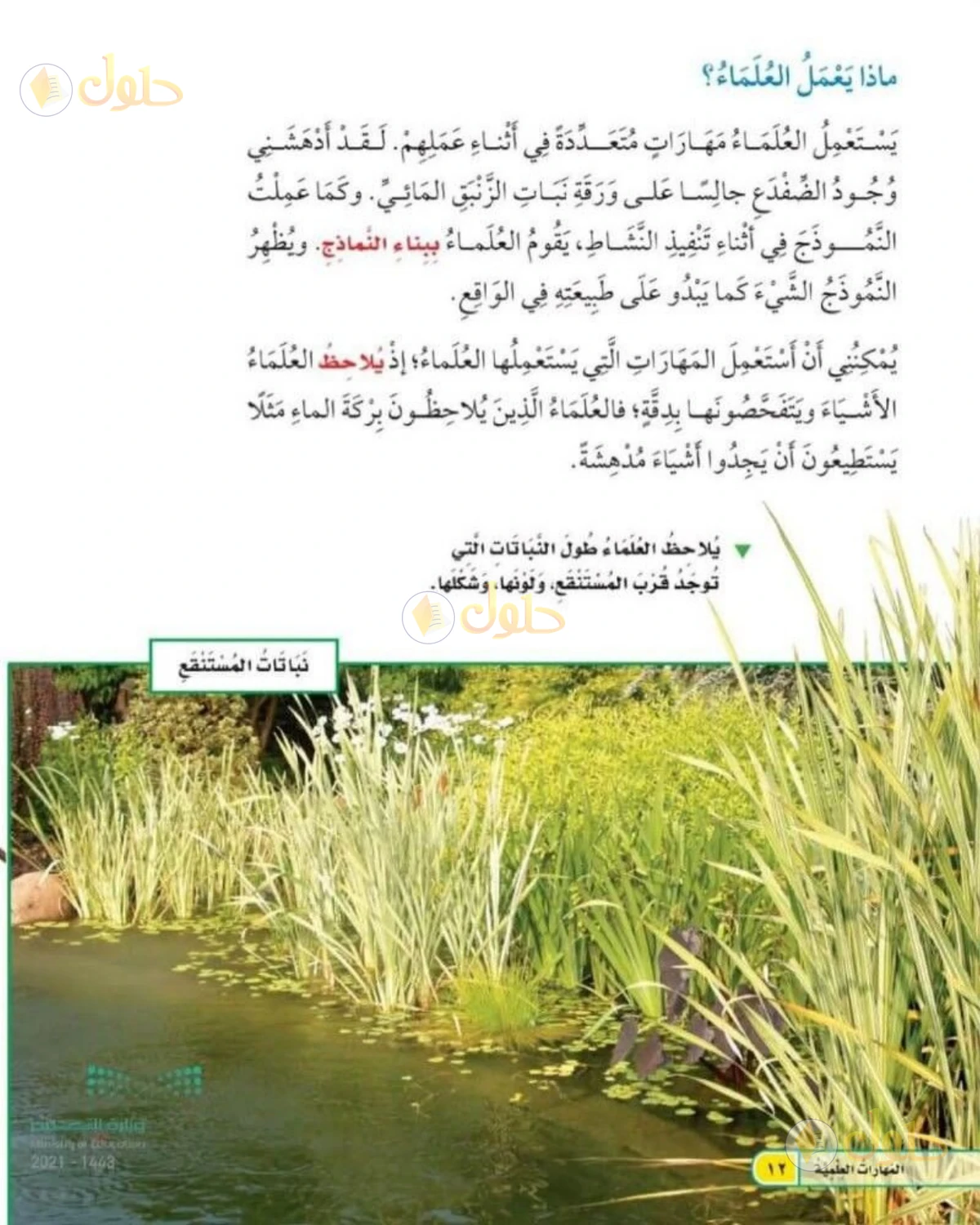 حل العلوم للصف الثاني الابتدائي صفحة 12