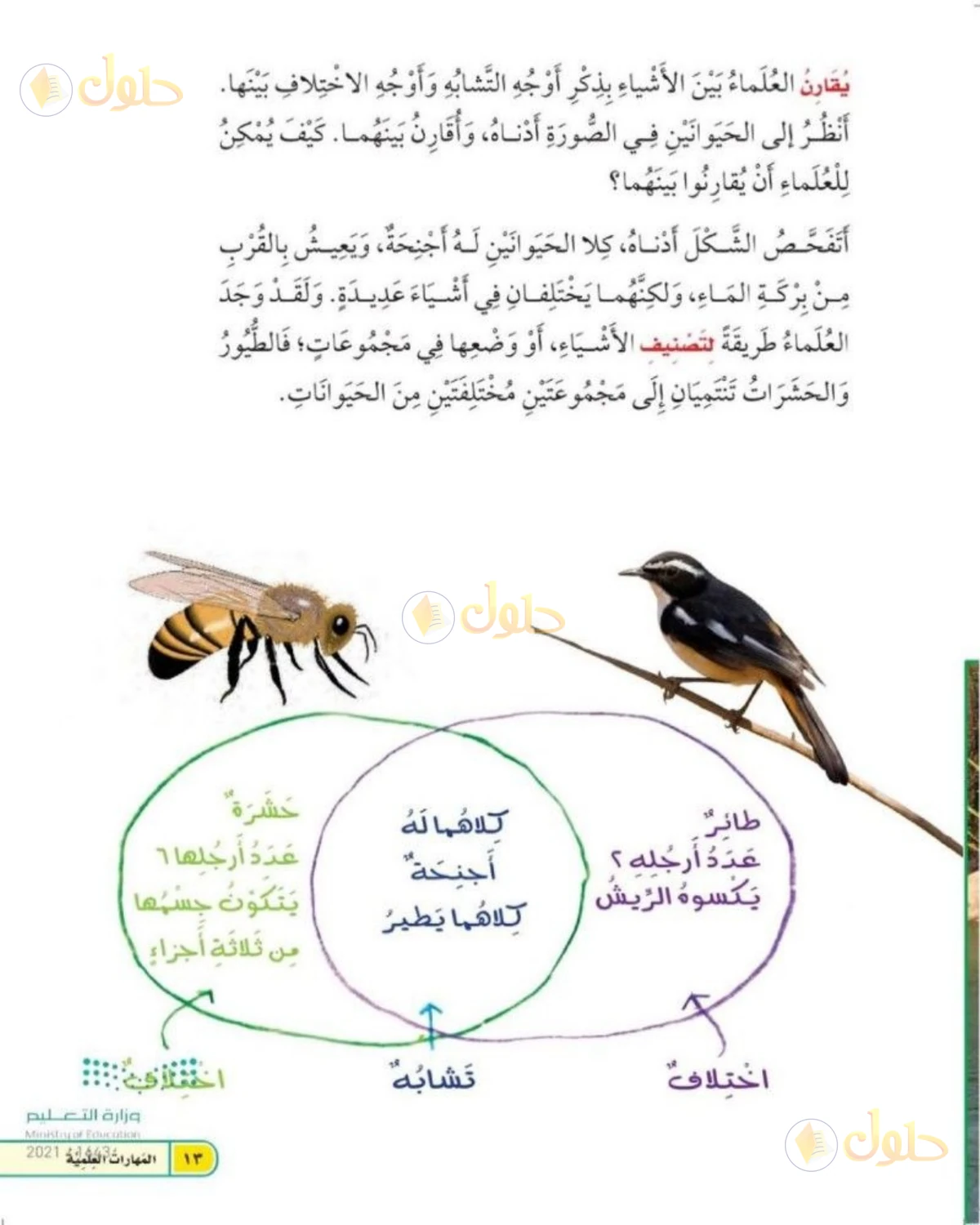 حل العلوم للصف الثاني الابتدائي صفحة 13