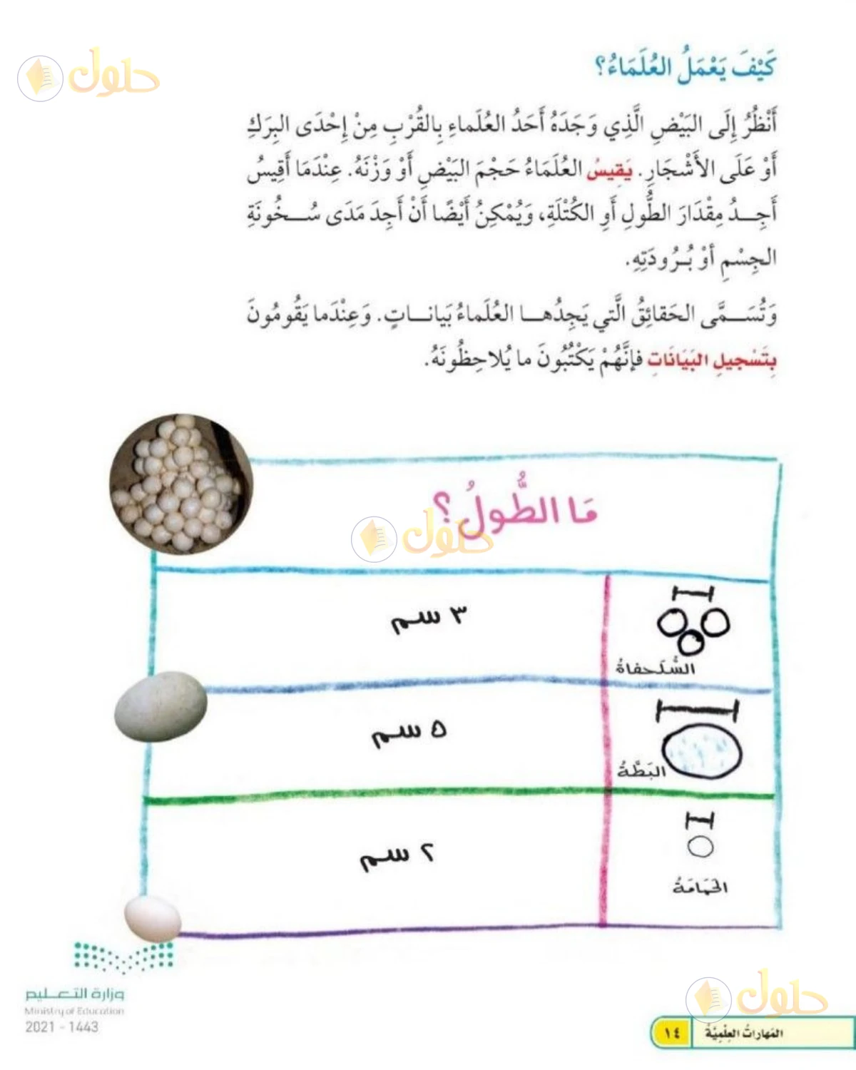 حل العلوم للصف الثاني الابتدائي صفحة 14