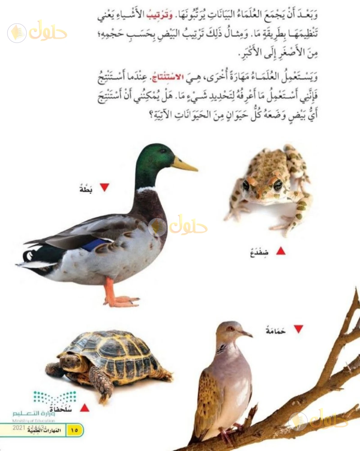 حل العلوم للصف الثاني الابتدائي صفحة 15