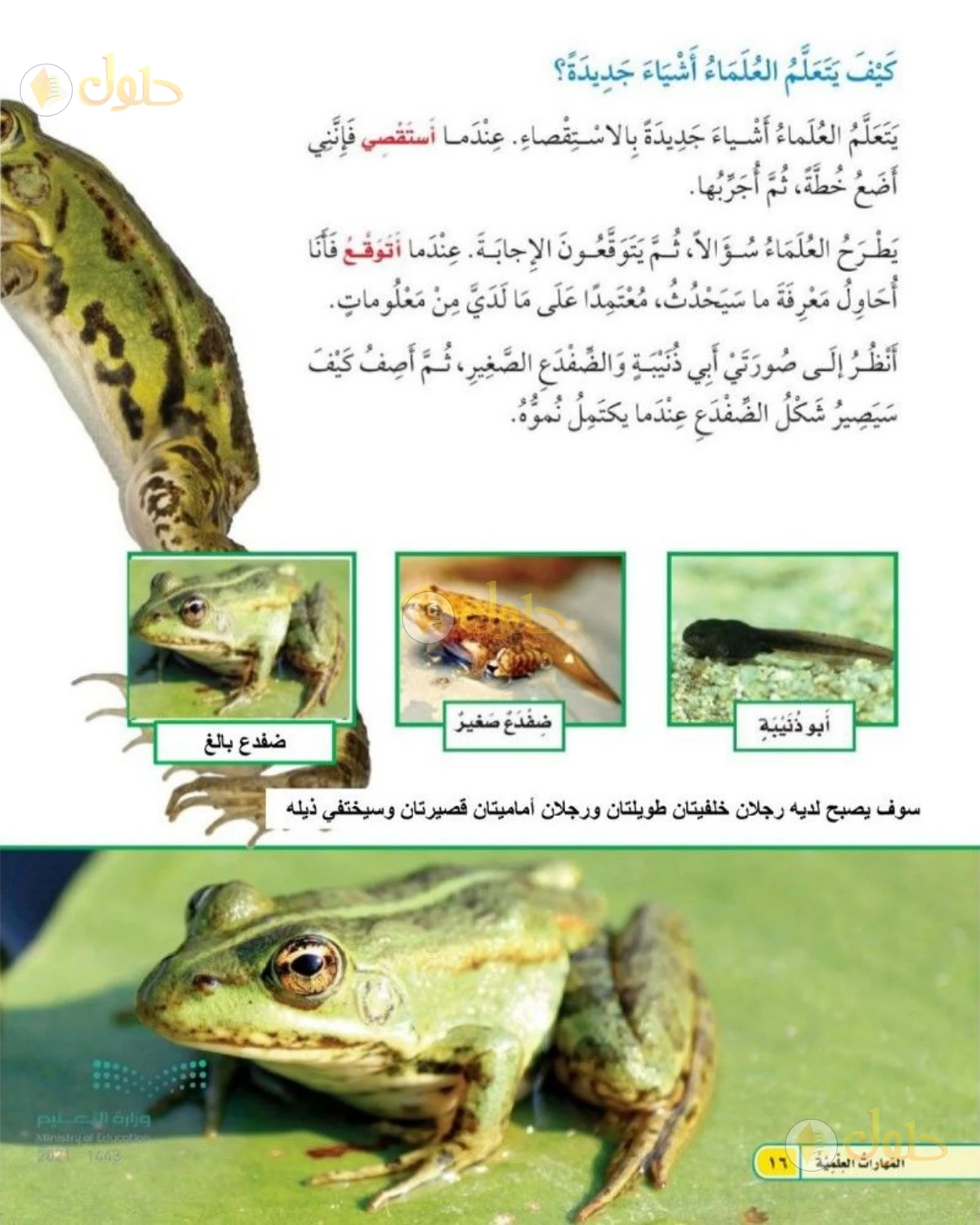 حل العلوم للصف الثاني الابتدائي صفحة 16